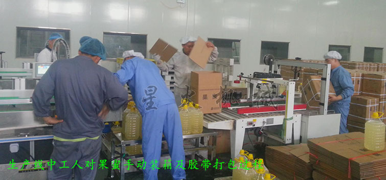 消防粉灌裝生產(chǎn)線，全自動粉末灌裝生產(chǎn)線